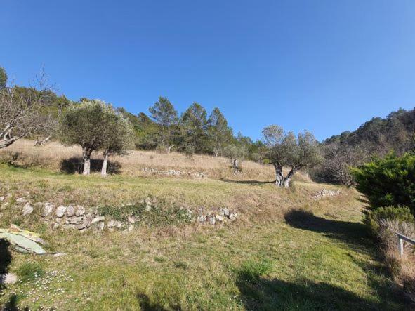 La Ferme De Manon Apartamento Montferrat  Exterior foto